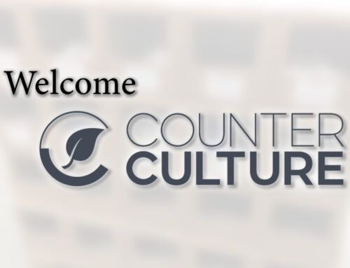 Supporting the eco-friendly brand – Counter Culture – with e-commerce management